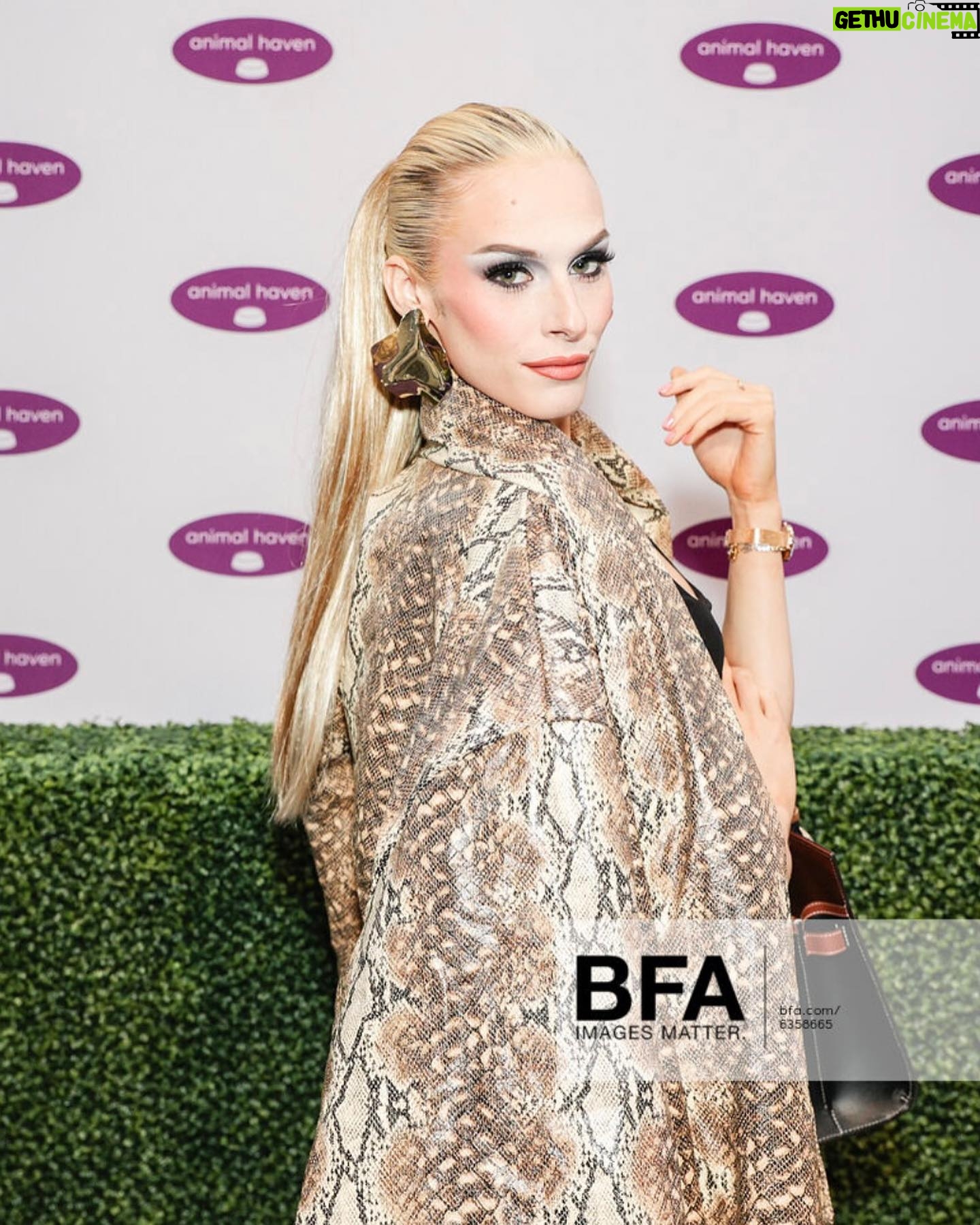 Jasmine Kennedie Instagram - π¦΄ππSuch an amazing time @animalhaven 2024 Benefit Gala!!! ππ𦴠#jasminekennedie #bfa #animalhaven #rpdr #rupaul #dragrace #rpdr14 #trans #transwoman #zagv #burberry Photos: @_bre_johnson Wearing : @zagvofficialsite @burberry