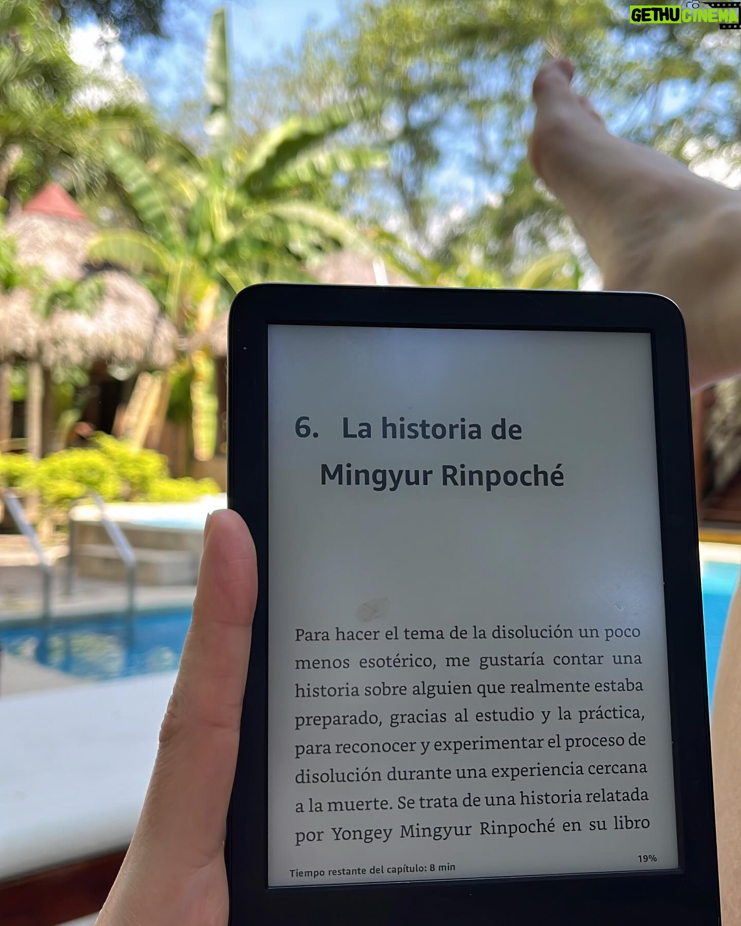 Javiera Mena Instagram - Días profundos adentradas en el amazonas 🇵🇪 🌴 🫶 Perú