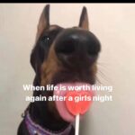 Jaylen Barron Instagram - Girls girls girls girls girls I do adooooreeee