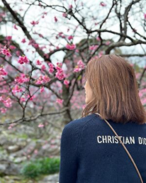 Jeanette Aw Instagram - I guess I’m still not done with Japan posts.. The day I caught some early sakuras at the castle and ending the visit with sakura ice cream and some really good coffee.