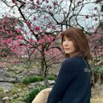 Jeanette Aw Instagram – I guess I’m still not done with Japan posts.. The day I caught some early sakuras at the castle and ending the visit with sakura ice cream and some really good coffee.