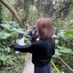Jeanette Aw Instagram – Okinawa. Spent part of my day in the Valley of Gangala, spotted the leaf that inspired Totoro’s leaf umbrella, felt like I was transported back to my period drama days with the oil lamp, and just being in awe of what Nature has to offer.