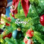 Jeanette Biedermann Instagram – Was dich im Herzen berührt und bewegt,
bringt deinen Mund zum Singen! Na, was habt ihr für Lieder unterm Weihnachtsbaum gesungen? #🥰
#✨ #❤️ #jeanettebiedermann #musik #neuersong #sing #🎄
