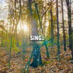 Jeanette Biedermann Instagram - Ich bin so unglaublich, überwältigt von euren ganzen Nachrichten zu meinem neuen Song „Sing!“. Es macht mich so glücklich, dass ihr den Song genauso liebt wie ich. Vielen Dank, für die so vielen, lieben Worte dazu! #🫠 Ich wünsche euch einen wunderschönen Morgen! #☀️ Heute Abend bin ich bei der José Carreras Gala 20:15 Uhr im MDR zu Gast und singe für euch „Sing!“. #❤️ Hört nicht auf, diesen wunderschönen Song zu hören, zu streamen und zu teilen! #🙏🏻 #jeanettebiedermann #musik #neuersong #sing #zusammenhalt #💞