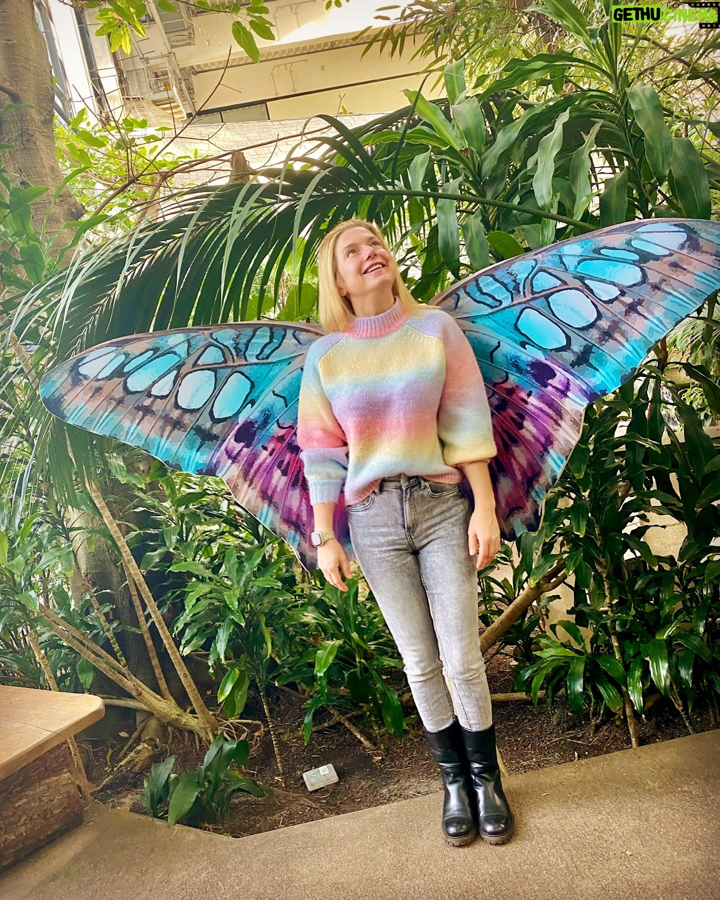 Jeanette Biedermann Instagram - Ready to fly! #🦋 Einen schönen Sonntag euch allen! #😍 #jeanettebiedermann #musikimherzen #🩵
