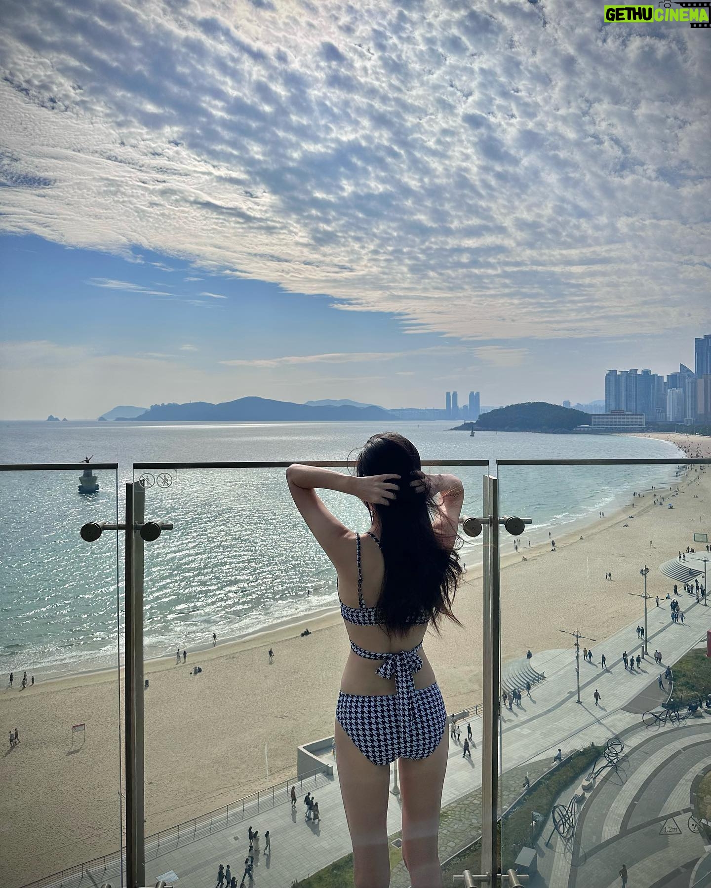 Jei - 4K Likes - paradise✨🦋🫧