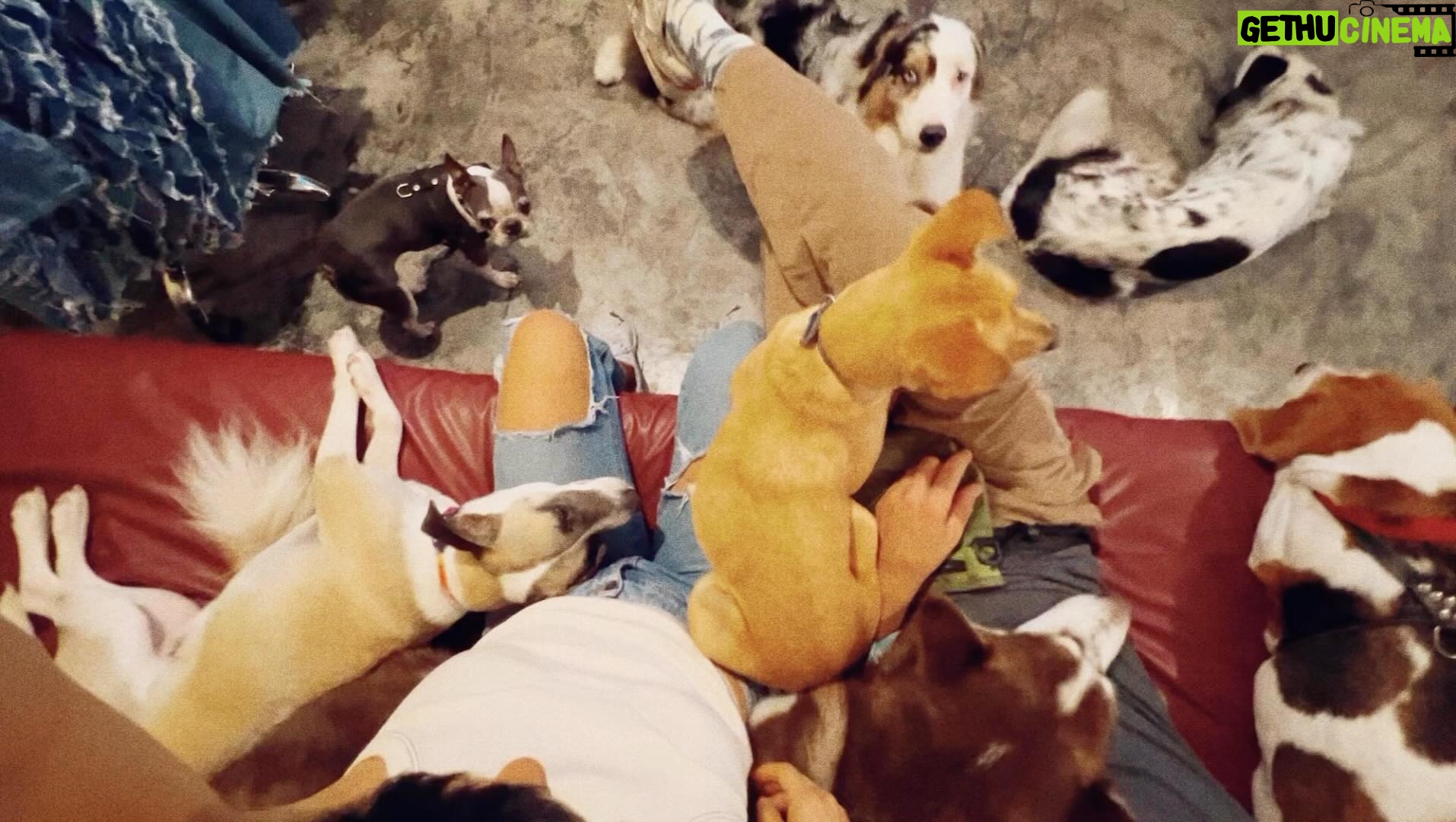 Jely Reategui Instagram - Les deseo buenas conversaciones en esta natividá. Yo por mi lado, abrazaré perritos con todo mi amor. Y al primero que reviente un cuete, le reviento la cara con mi pensamiento de láser quest. @lacasadekatana