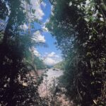 Jely Reategui Instagram - En mis últimos viajes a la selva, nunca ha sido temporada de Pijuayo, y de eso siempre me doy cuenta cuando llego. De chiquita siempre comía un montón Pijuayo con cebollita y me daba alegría en la existencia y abrazo a la altura de los cachetes. Esa pudo haber sido una historia de mi mini obra de @unintentovaliente “cosas que comías de chiquito que cuando las ves dices: ay yo comía eso de chiquito! Pero nunca más las comiste y sabe a espina clavada en el fondo de la boca de tu alma” obra en la que yo no participé con mi testimonio porque mi concentración estaba en triturar galleta para que Dusan coma “tierrita” y todo termine en una gran coreografía. Qué tiene que ver todo esto con el video? Nada. Sólo recuerdos. Recuerdos bonitos de un viaje que llevo en mi corazón 🧡 @pumarinri_lodge