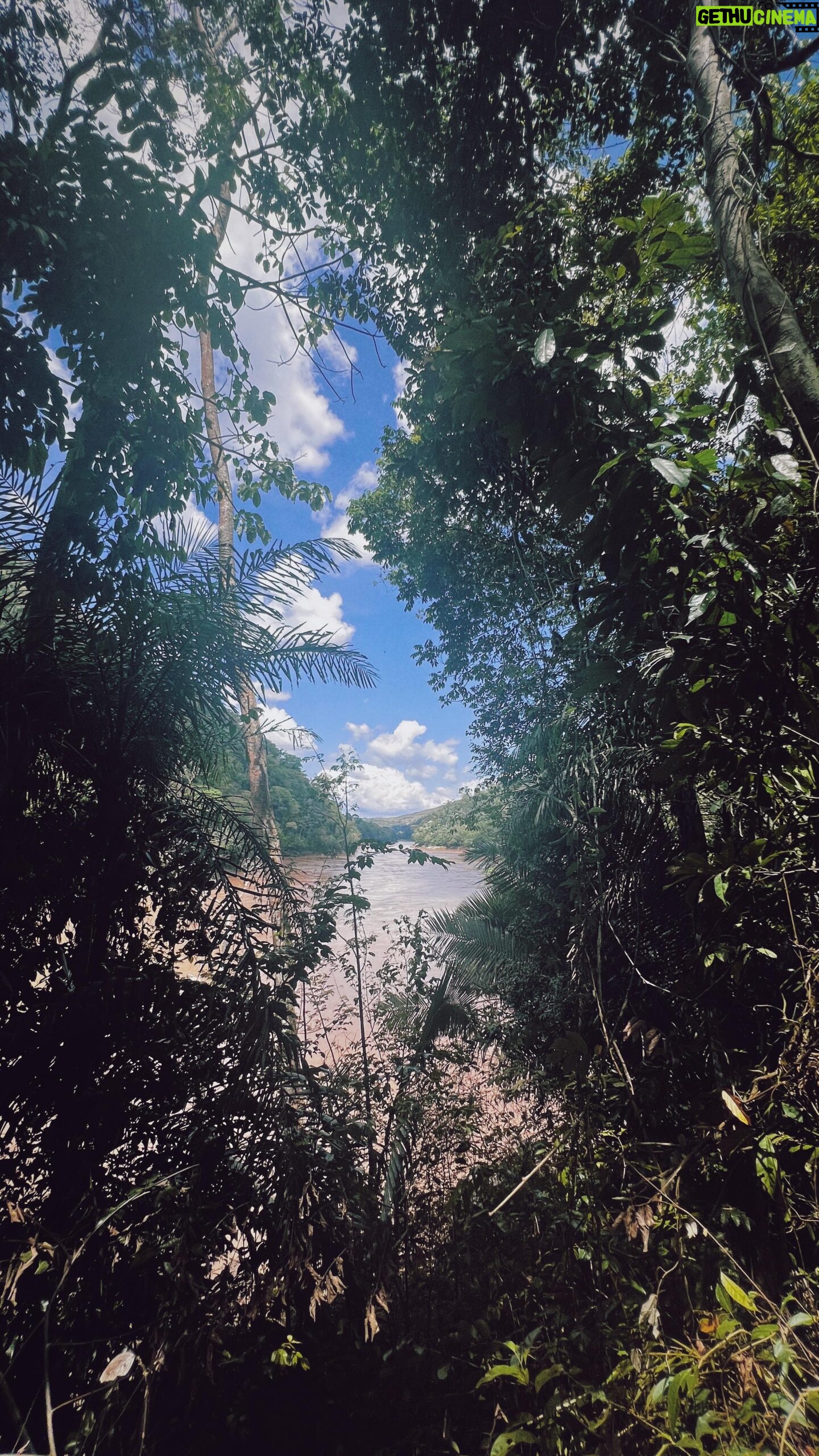 Jely Reategui Instagram - En mis últimos viajes a la selva, nunca ha sido temporada de Pijuayo, y de eso siempre me doy cuenta cuando llego. De chiquita siempre comía un montón Pijuayo con cebollita y me daba alegría en la existencia y abrazo a la altura de los cachetes. Esa pudo haber sido una historia de mi mini obra de @unintentovaliente “cosas que comías de chiquito que cuando las ves dices: ay yo comía eso de chiquito! Pero nunca más las comiste y sabe a espina clavada en el fondo de la boca de tu alma” obra en la que yo no participé con mi testimonio porque mi concentración estaba en triturar galleta para que Dusan coma “tierrita” y todo termine en una gran coreografía. Qué tiene que ver todo esto con el video? Nada. Sólo recuerdos. Recuerdos bonitos de un viaje que llevo en mi corazón 🧡 @pumarinri_lodge