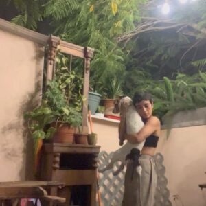 Jely Reategui Instagram - Mi hente latino: 

Gracias de corazón. Por su cariño, por sus mensajes, por la cantidad de veces que me han dicho pug en mi foto anterior (asumiré que soy una perraencalor), por el aguante y la buena onda. 

A mis familigos / amiglia los amo mucho. Gracias por estar, por llamar, venir a casa a darme abrazos deliciosos y regalos sin igual y sentarse en las sillas.

Recibí mis 36 veranos mejorando la casita, con mi dreamteam ❤️‍🔥 con orquesta en vivo del vecino, comiendo mi juanecito de yuca directamente desde Iquitos, gracias a @ikiitu, con una serie de manjares hermosos de @lapanetteriabarranco y mis bebidas fieles de siempre gracias a @sidracalango y @vinosguapos 🩷

El tiramisú de @olivia_y_coque_cucina tendrá su momento especial porque he decidido comerlo en ritual y calma.

Desayuné con mis amigas de toda la vida. No fui al mar como tenía planeado pero conocí a mi sobrina que se llama Mar y eso superó cualquier plan. 

Mi outfit cumpleañero llegó gracias al gentil auspicio de @pulgalatienda y me gustó mucho usarlo para ir a ensayar y a fiestear en mi casa🌸

La pasé muy bonito de verdad. Gracias. 

Agradecimientos especiales a @marianopaz__ y a @l.a.v.a.c.a por su incondicionalidad ♥️

Besitos cachichurris machichurris chichirris.