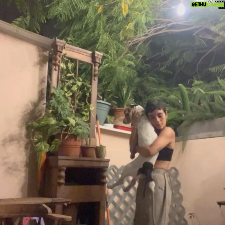 Jely Reategui - 8.6K Likes - Mi hente latino:
Gracias de corazón. Por su cariño, por sus mensajes, por la cantidad de veces que me han dicho pug en mi foto anterior (asumiré que soy una perraencalor), por el aguante y la buena onda.
A mis familigos / amiglia los amo mucho. Gracias por estar, por llamar, venir a casa a darme abrazos deliciosos y regalos sin igual y sentarse en las sillas.
Recibí mis 36 veranos mejorando la casita, con mi dreamteam ❤️🔥 con orquesta en vivo del vecino, comiendo mi juanecito de yuca directamente desde Iquitos, gracias a @ikiitu, con una serie de manjares hermosos de @lapanetteriabarranco y mis bebidas fieles de siempre gracias a @sidracalango y @vinosguapos 🩷
El tiramisú de @olivia_y_coque_cucina tendrá su momento especial porque he decidido comerlo en ritual y calma.
Desayuné con mis amigas de toda la vida. No fui al mar como tenía planeado pero conocí a mi sobrina que se llama Mar y eso superó cualquier plan.
Mi outfit cumpleañero llegó gracias al gentil auspicio de @pulgalatienda y me gustó mucho usarlo para ir a ensayar y a fiestear en mi casa🌸
La pasé muy bonito de verdad. Gracias.
Agradecimientos especiales a @marianopaz__ y a @l.a.v.a.c.a por su incondicionalidad ♥️
Besitos cachichurris machichurris chichirris.