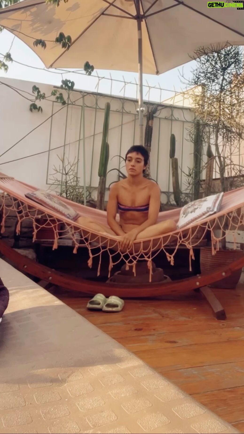 Jely Reategui - 13.1K Likes - Alguna vez dije que era Team Verano, HOY ME ARREPIENTO DE TODO LO QUE DIJE.
Les deseo un frescor y una sombra de arbolito que contribuya al no embrutecimiento 3000. Y también nos deseo consumo responsable y esas cosas. Cuídense, ya?