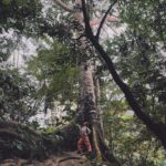 Jely Reategui Instagram - Un escapadón 3000 mega necesario al @pumarinri_lodge en San Martín 💚 (a 50 min de Tarapoto) gran contentura para mi corazón 🥲🧡 Gracias ✨🌷🥰🦉🦋🦎🕷️🐍🪲🦖