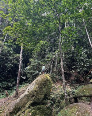 Jely Reategui Instagram - Un escapadón 3000 mega necesario al @pumarinri_lodge en San Martín 💚 (a 50 min de Tarapoto) gran contentura para mi corazón 🥲🧡 Gracias ✨🌷🥰🦉🦋🦎🕷️🐍🪲🦖