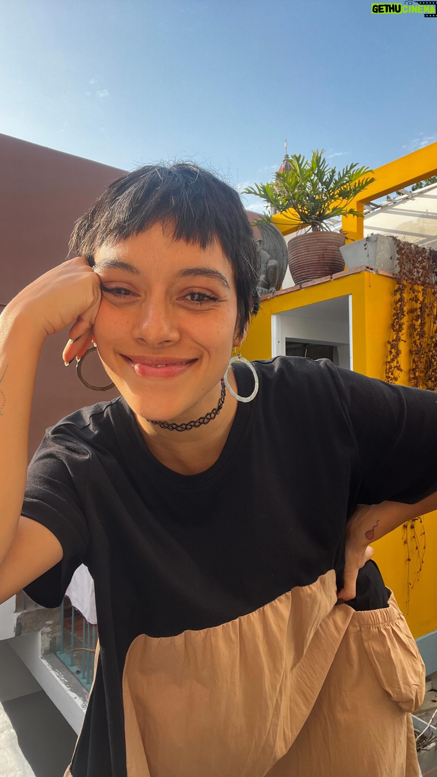 Jely Reategui - 5K Likes - Cosas de señor, cosas de señora es un microprograma lleno de sorpresas. El otro día hice un soufflé, al menos esa fue mi intención. Me faltaron un par de ingredientes. Salió bajito. Me distraje un ratito. Se lo comió Navaja.