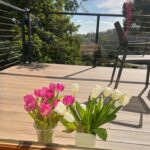 Jen Gunter Instagram - Bought some tulips to brighten up the place…and apparently they are toxic to cats. Why do cats only ever want to eat the toxic plants???? This seems like an evolutionary flaw!!!! Maybe it’s just my cat. Sigh. Now I am enjoying them through the window! 😂😂😂😂😂