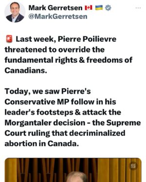 Jen Gunter Instagram - Canada, this is not a drill. The Conservatives want to restrict abortion. Abortion rights are on your next ballot!!!!!