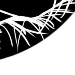 Jena Malone Instagram - I’m jumping ship. Come join me on substack and see if we can build community in a different way. I’ve got a hunch we are all in need of something radically different :) new logo by @little.creek.ink
