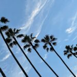 Jenna Elfman Instagram – La La Land. Perfect weather needs no filter, baby. (The ONLY thing in LA that doesn’t need a filter.)