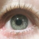Jenna Elfman Instagram – Like mother, like son. 👁️ 👁️