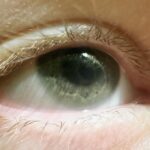 Jenna Elfman Instagram – Like mother, like son. 👁️ 👁️