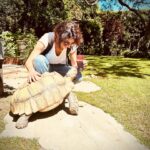Jenna Laurenzo Instagram – Leave it to @onsetwithmichellebeck to lead me into a magical garden, greeted by a tortoise 🐢 ❤️✨