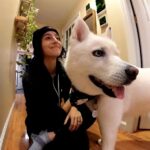 Jenna Laurenzo Instagram - Home with the sniffles 🤧 and eagerly awaiting dinner ❤️ . . . #tistheseason #husky #instadog #huskylove