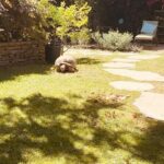 Jenna Laurenzo Instagram – Leave it to @onsetwithmichellebeck to lead me into a magical garden, greeted by a tortoise 🐢 ❤️✨