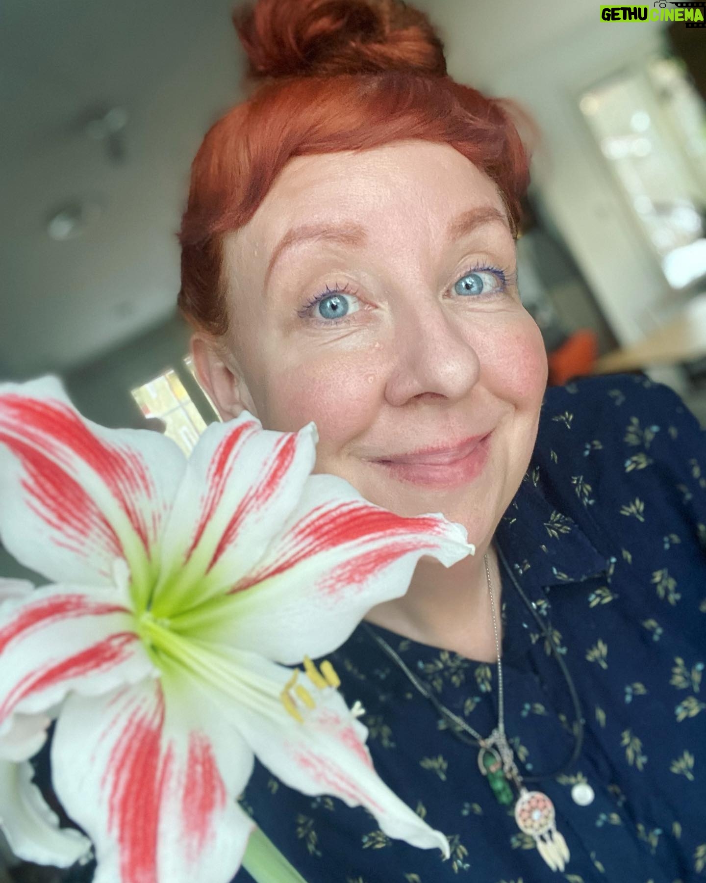 Jenni Kokander - 3 Likes - Keväinen kuva joulukukasta ja jouluihmisestä 🌸🤶🏻(294 yötä pääpäivään)