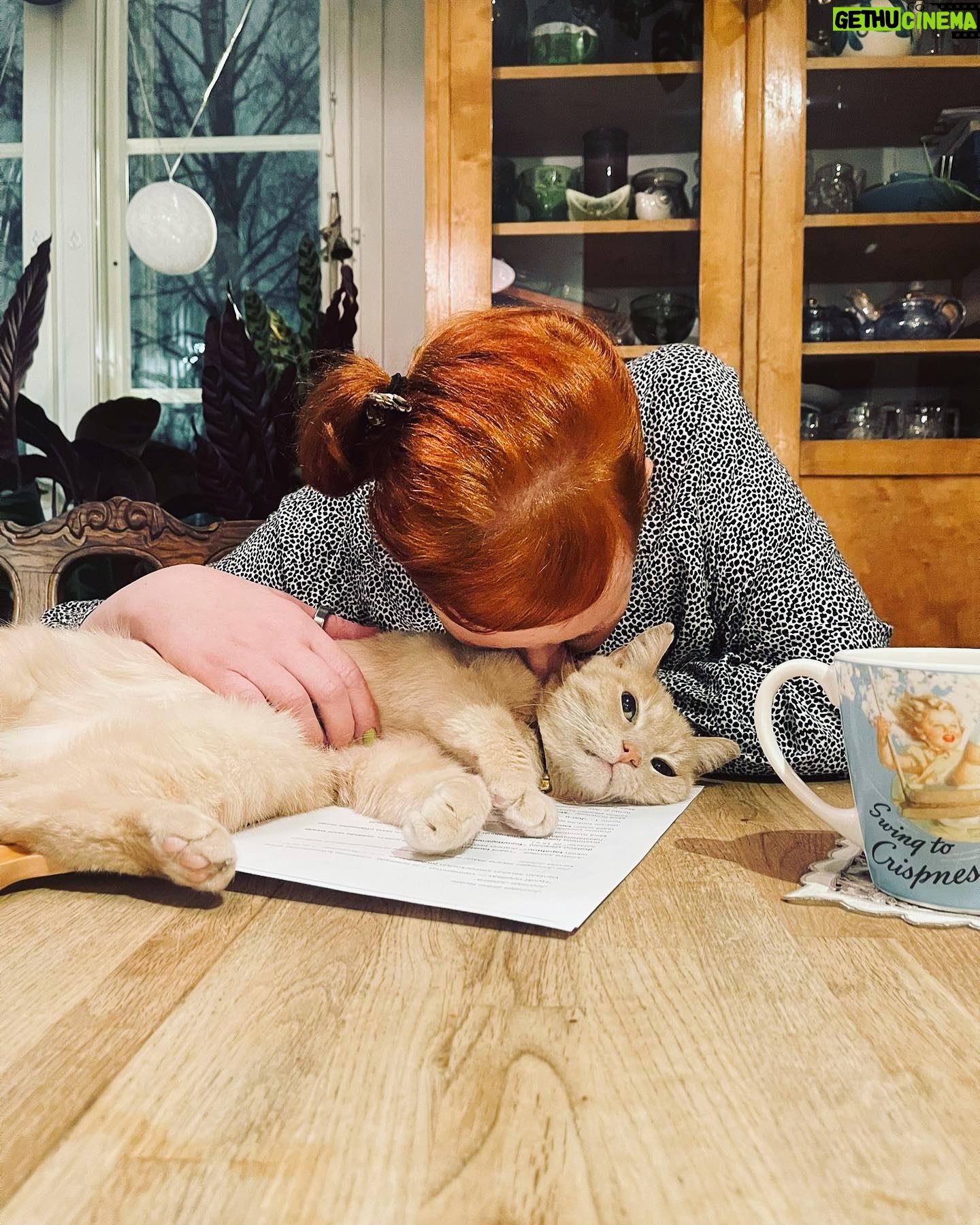 Jenni Kokander - 3 Likes - Jukalle ja lapsille on ollut helppo selittää, että olen arkipäivät poissa kotoa koska harjoittelen Turussa näytelmää. Yksi perheenjäsen ei tunnu oikein ymmärtävän.