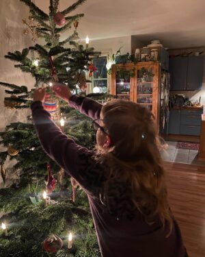 Jenni Kokander Instagram - Kissan aktivointikeskus valmis🎄