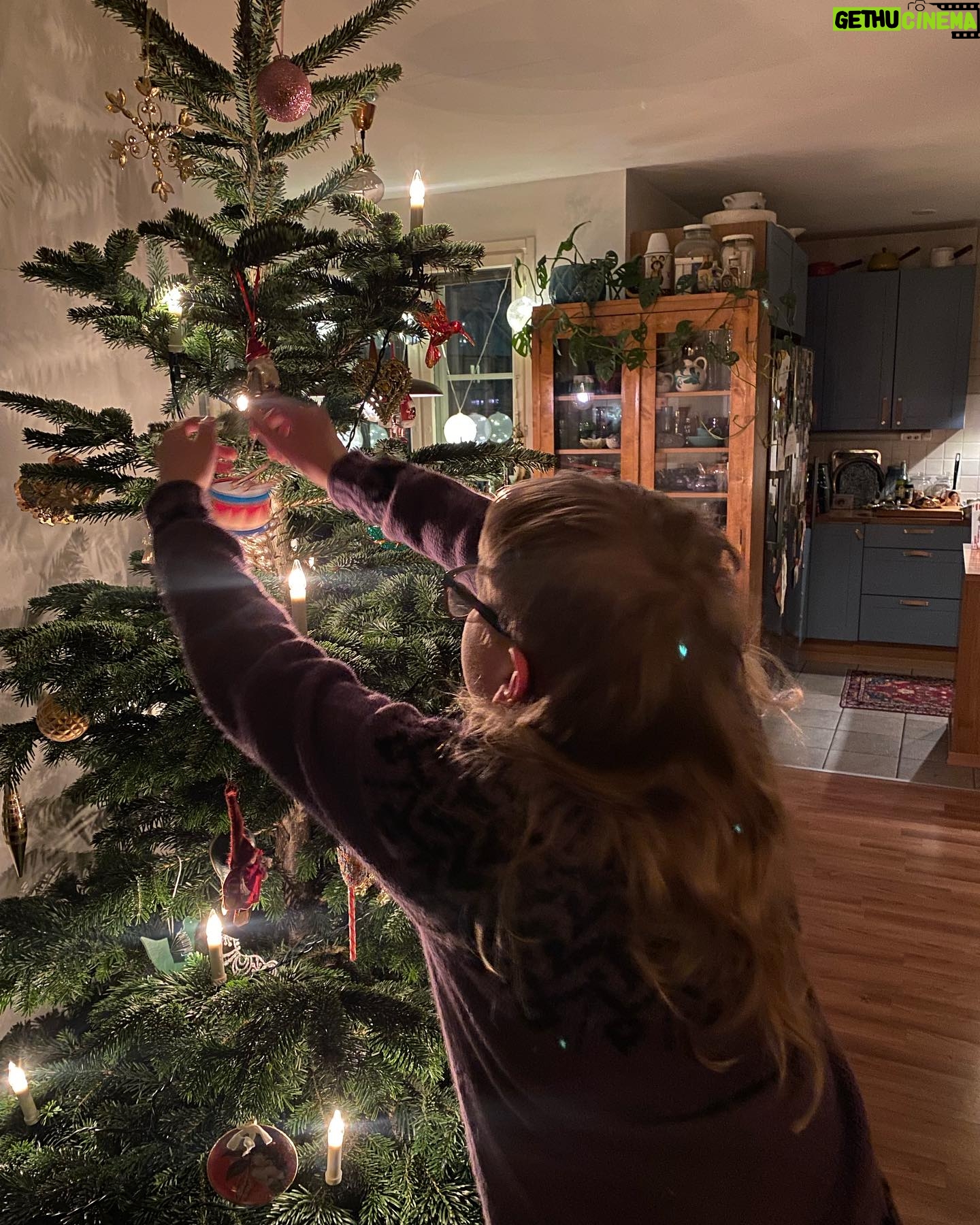 Jenni Kokander - 3 Likes - Kissan aktivointikeskus valmis🎄