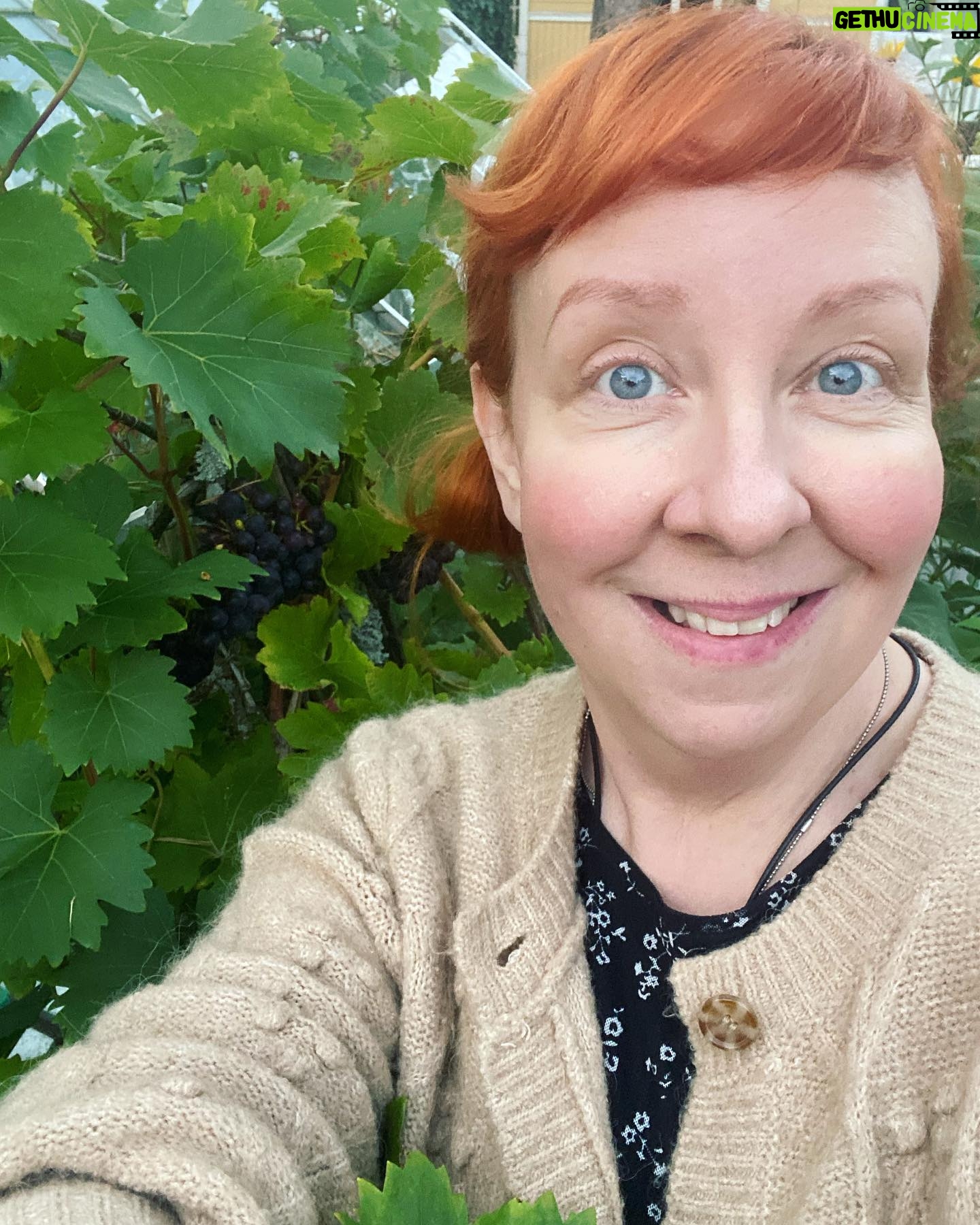 Jenni Kokander - 3 Likes - Mulla on rypäleet (enkä puhu pukamista)🍇