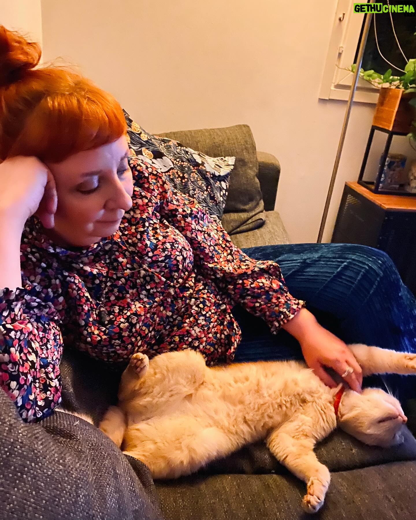 Jenni Kokander - 3 Likes - Tulin Turusta kotiin. Olin odotettu💛