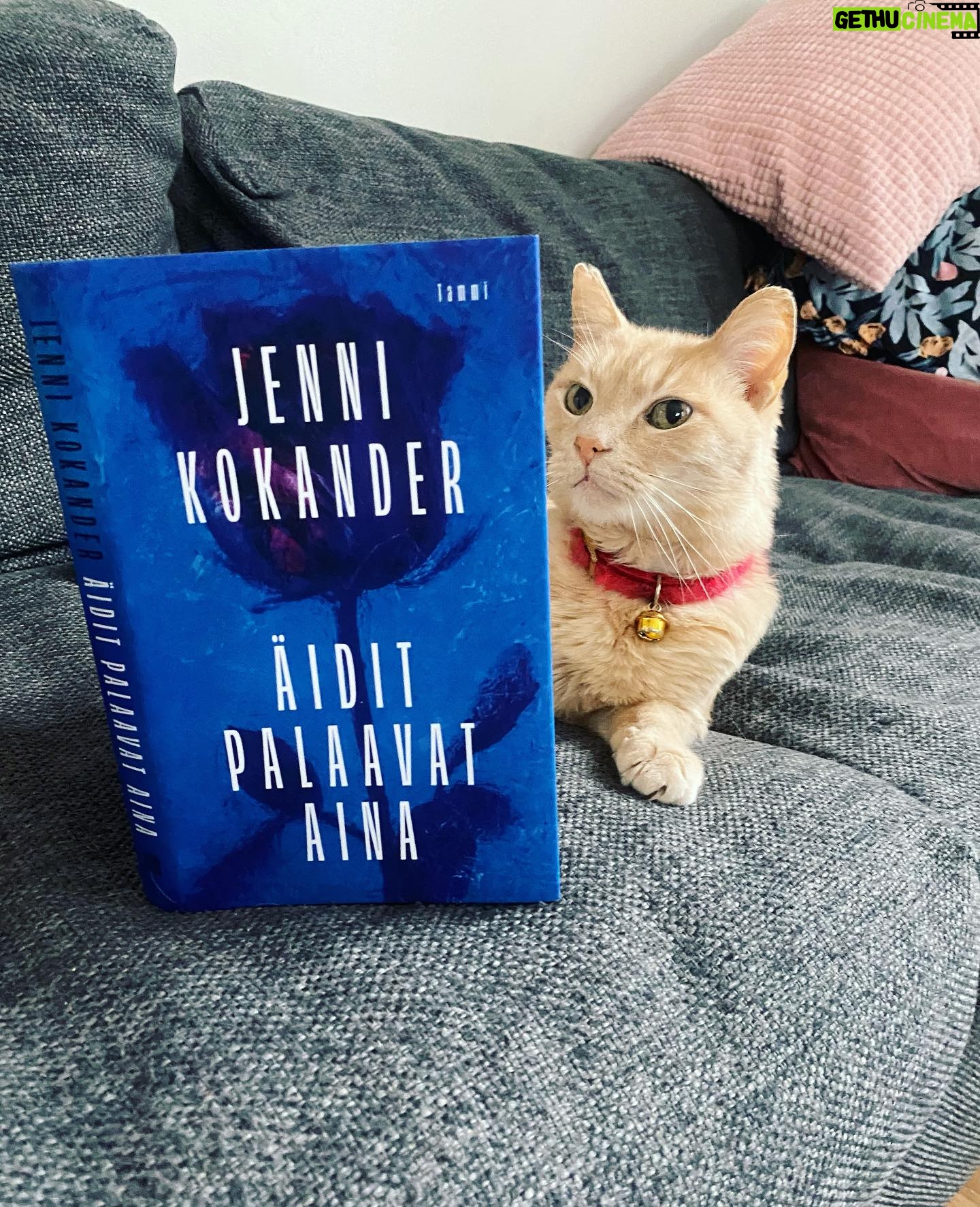 Jenni Kokander - 3 Likes - ”Isä, kaikki johtuu Koposesta! Äiti on taas seonnut ja lähtenyt sen perään. Sehän on ihan selvää. Äiti on herännyt ennen meitä ja tajunnut, ettei Koponen ole oven takana. Isä, etkö sinä tajua? Ei äidillä ole mitään hätää. Äiti on etsimässä kissaa.”
Sulo on tunnistavinaan itsensä kirjasta🤔