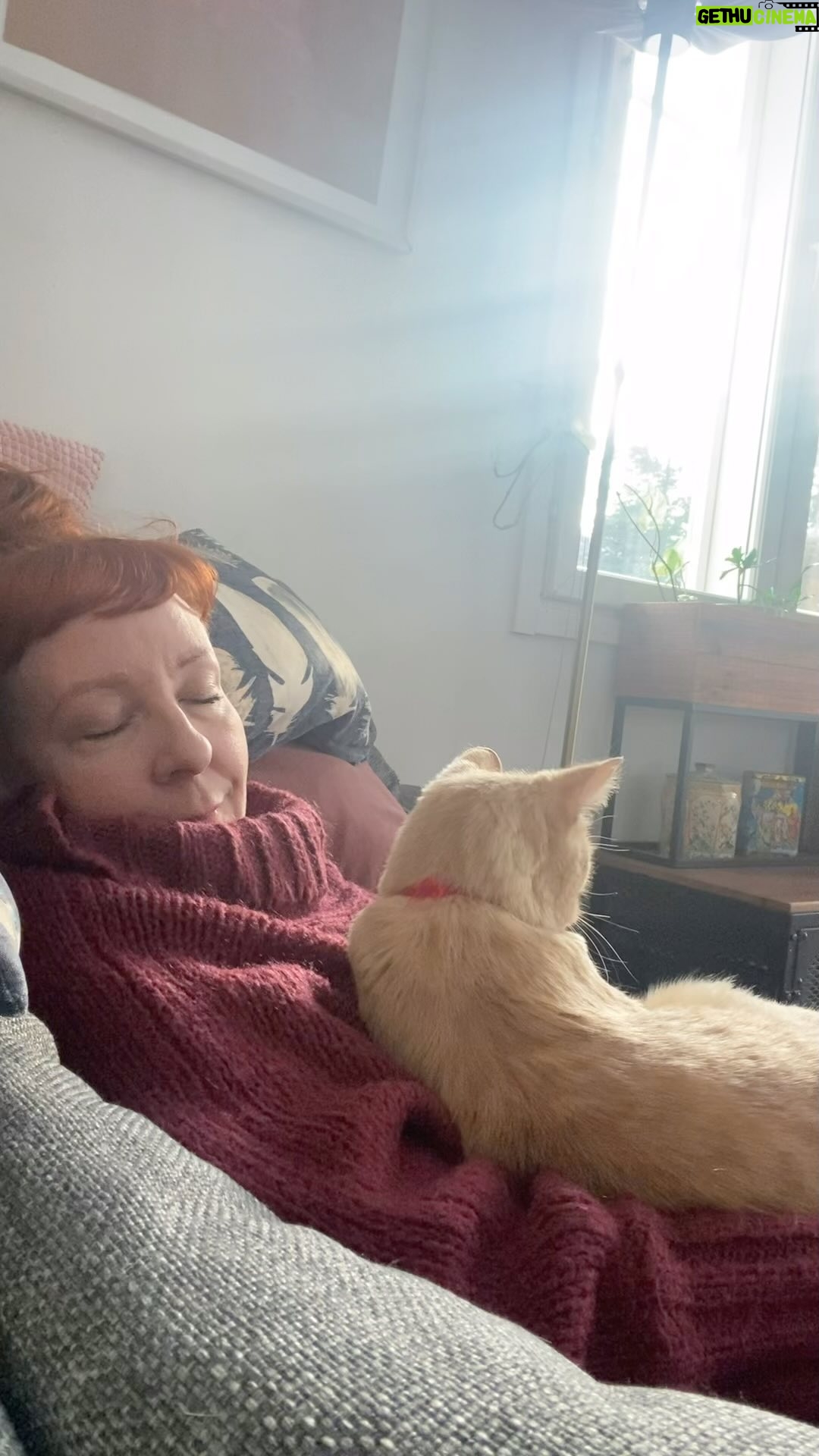 Jenni Kokander - 3 Likes - Lempeää ystävänpäivää💞