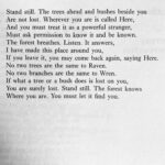 Jennifer Beals Instagram – You know where I’m headed today. 

Lost by David Wagoner 

repost from secretchords_apoemfortheday