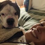 Jennifer Beals Instagram - Had I known this would be our last sleepover cuddle I would’ve slept in. I loved the way you walked, the way you snored before you entered deep sleep, the way you loved. See you on the other side Sweet Stogie Bear. Sending my gratitude and love to you @ilenechaiken and LouAnne for introducing me to this beautiful boy.