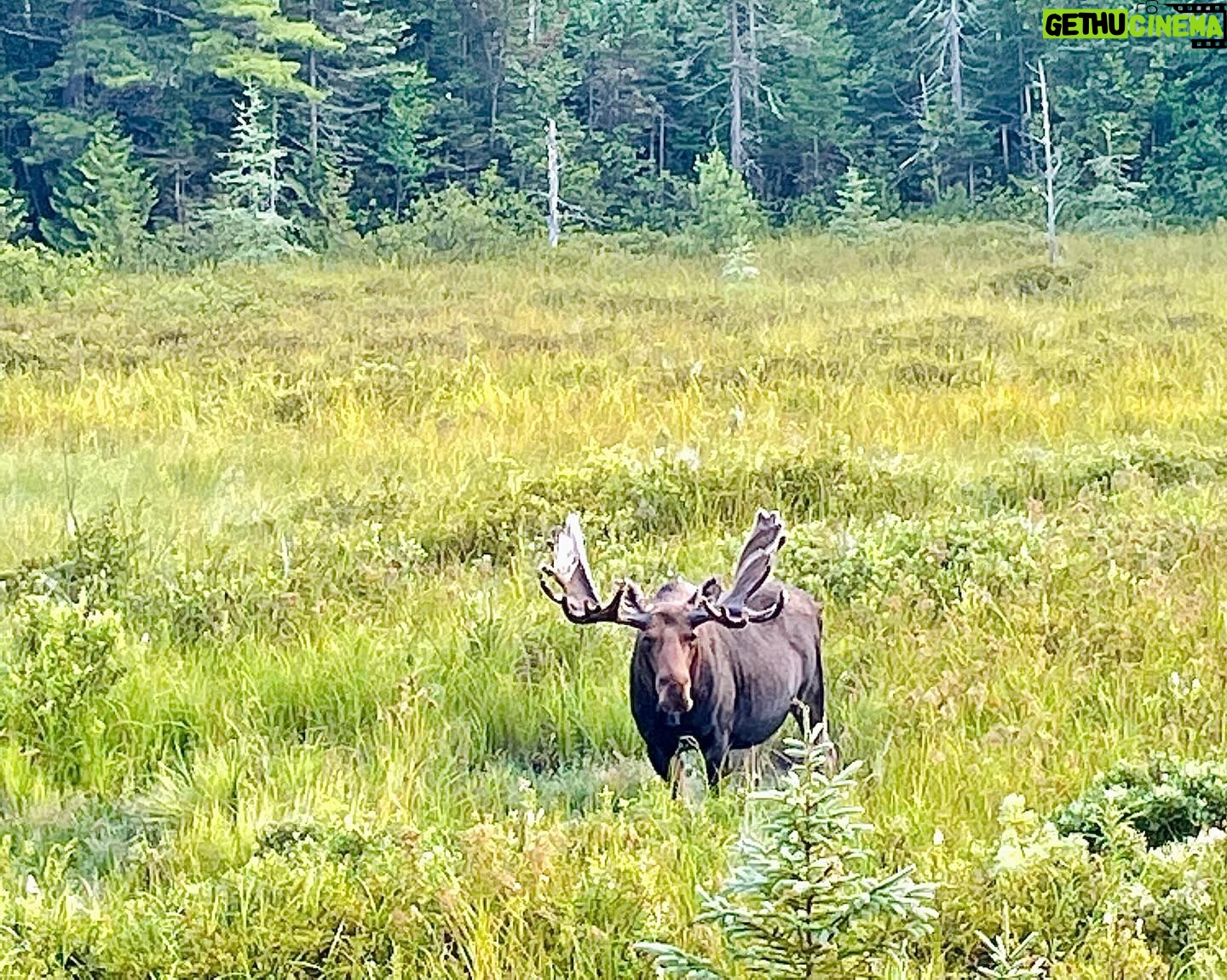 Jennifer Beals Instagram - For me there is no greater solace, no greater source of strength, no greater awareness of the divine than when I am in nature. Happy Earth Day to you all. ππΌπ Go hug a tree and whisper your deepest truth into its bark. And then please tell the tree I said, hello. βΊοΈπ³ #happyearthday
