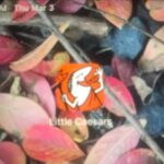 Jennifer Carpenter Instagram – I can’t believe how much MORE I love @helloclove BECAUSE he has the @littlecaesars app! 🤣😍 who knew they HAD one? Also! They have 470k followers on Instagram! I mean… maybe Seth know’s what’s up. #pizzapizza 🍕