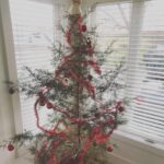 Jennifer Carpenter Instagram – She is so delicate that she blew right out of the pickup truck on her way home. 🤣#merrychristmas #tree All of God’s trees are beautiful 🤘🏻