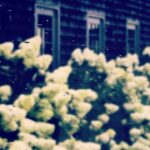 Jennifer Carpenter Instagram - In with the new! #allergies #blessyou