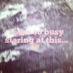 Jennifer Carpenter Instagram - These two- are my new favorite strangers. #lookup