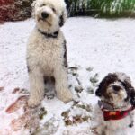 Jennifer Esposito Instagram - All my valentines. I love my boys.