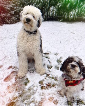 Jennifer Esposito Instagram - All my valentines. I love my boys.