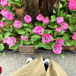 Jennifer Esposito Instagram - Oh spring- how we love you.