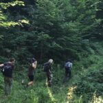 Jennifer Hoffman Instagram – Op zoek naar Europa’s grootste en oudste landzoogdier, op bizon Safari in Roemenië. 
Ze waren er niet meer. Alleen nog in dierentuinen. Maar dankzij het WeWilder project zijn ze nu weer in het wild te zien. Alleen… we moeten ze dan nog wel even zien te vinden. (Of niet?) 
#rewilding @we_wilder 
#letnaturetakeitscourse 
#livinginharmonywithnature 
#bisonsareback 
#tonythetracker

@3opreis