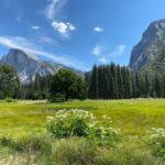 Jennifer Holland Instagram - Dreaming of my happy place: Yosemite with people I love. What’s yours?