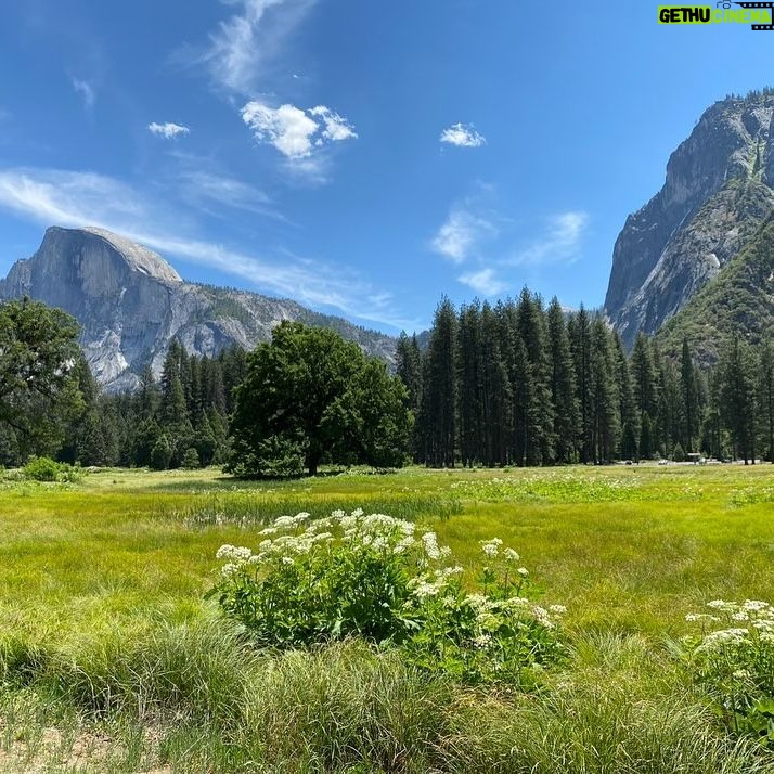 Jennifer Holland - 52.6K Likes - Dreaming of my happy place: Yosemite with people I love. What’s yours?