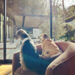 Jennifer Holland Instagram – Life’s little moments…